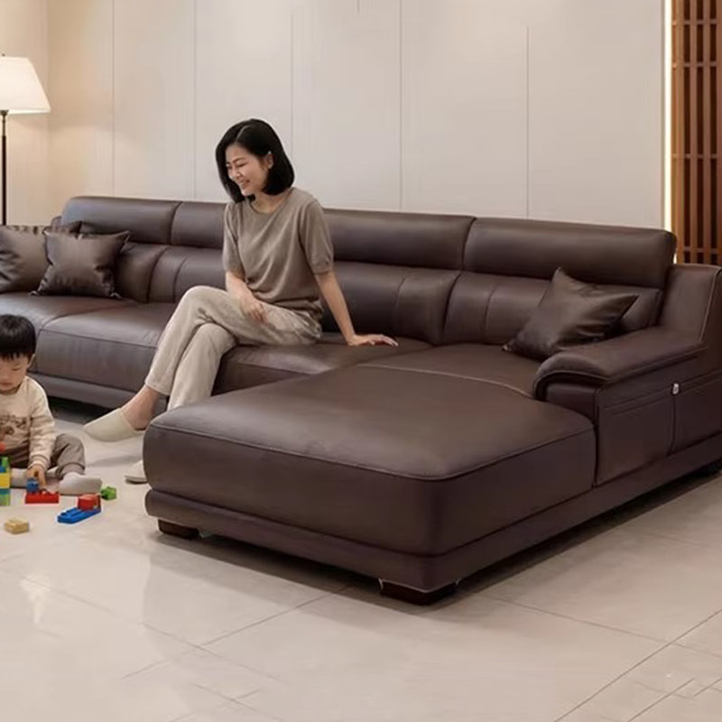 Luxury Futon Living Room Sofas - огляд і ціна Home Cinema Sofa