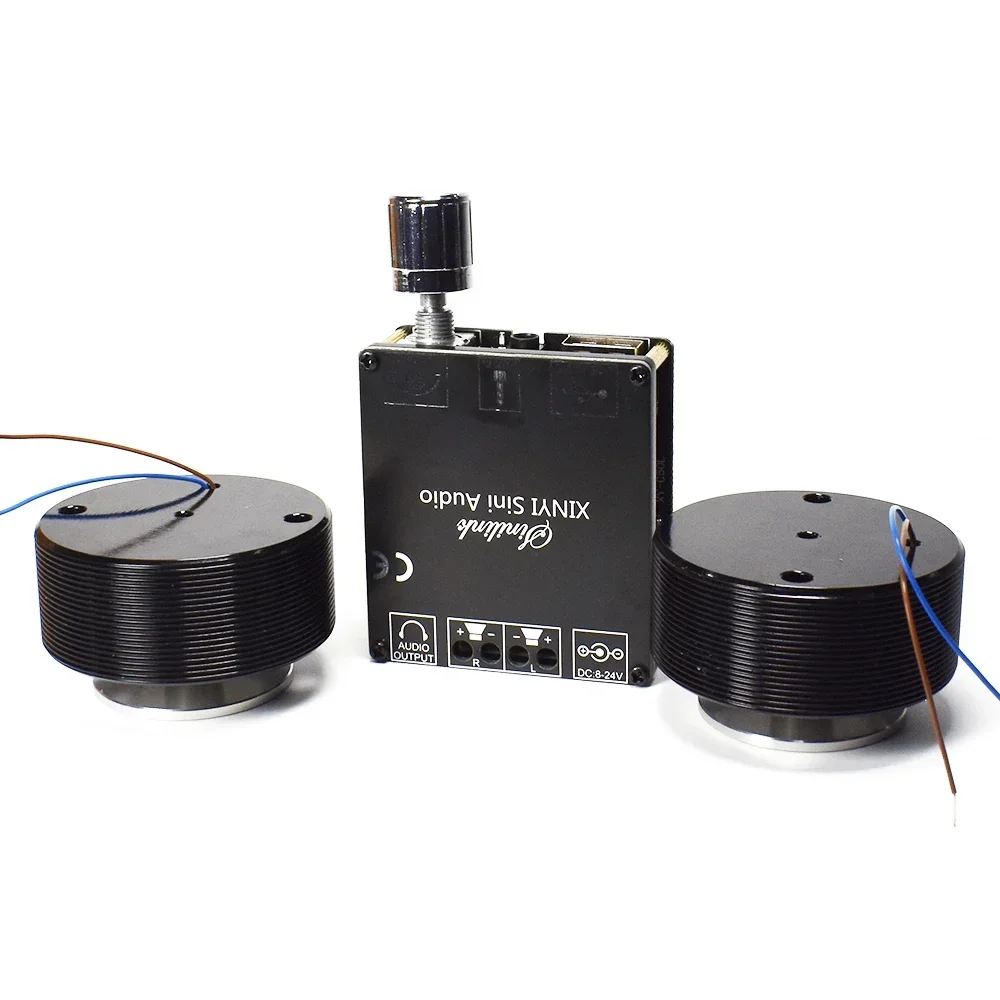 1 Set 50W 2.0 HIFI Vibration S - огляд і ціна Home Cinema Amplifier