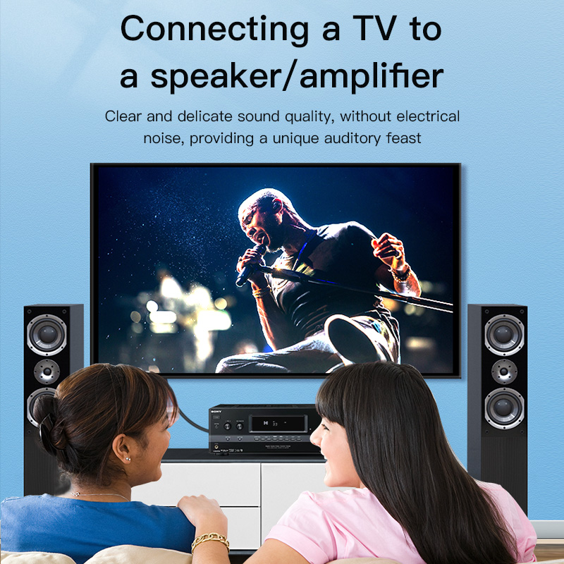 CHOSEAL RCA Cable Digital Coax - огляд і ціна Home Cinema Amplifier