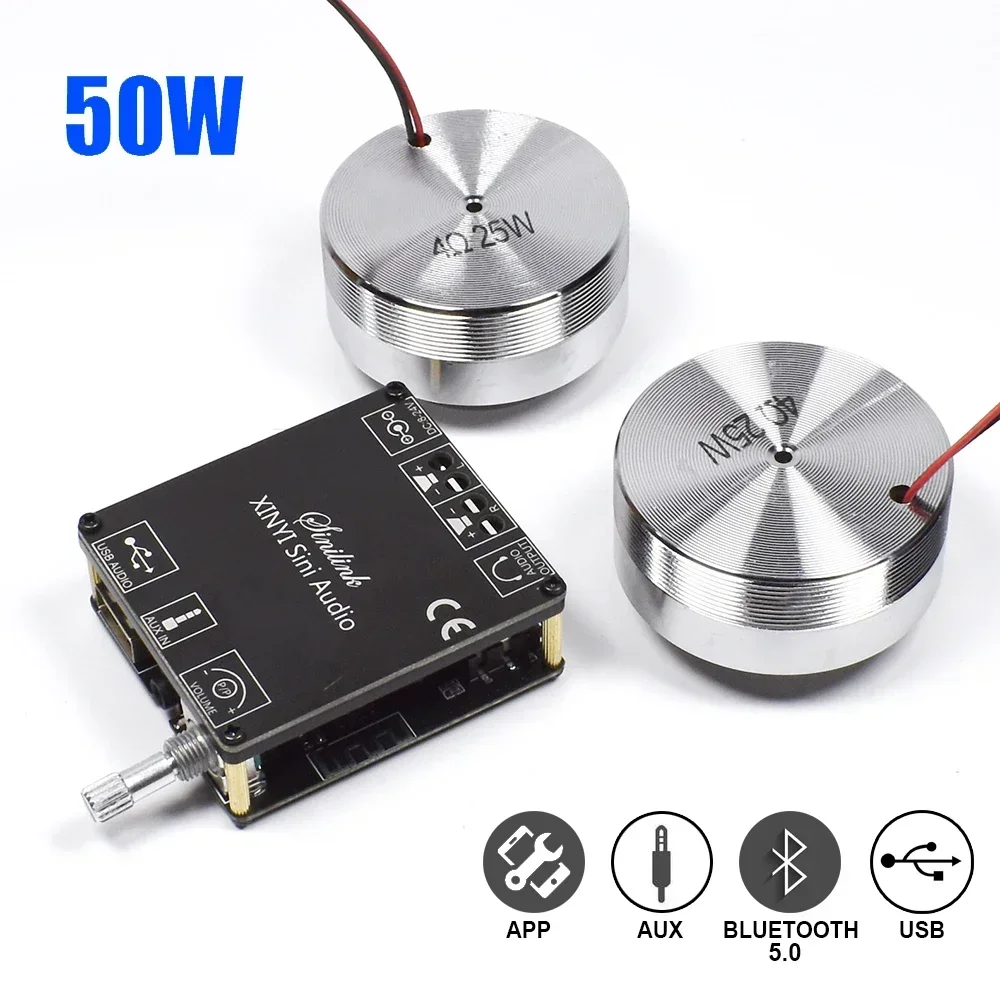 2*25W Portable Stereo Vibratio - огляд і ціна Home Cinema Amplifier