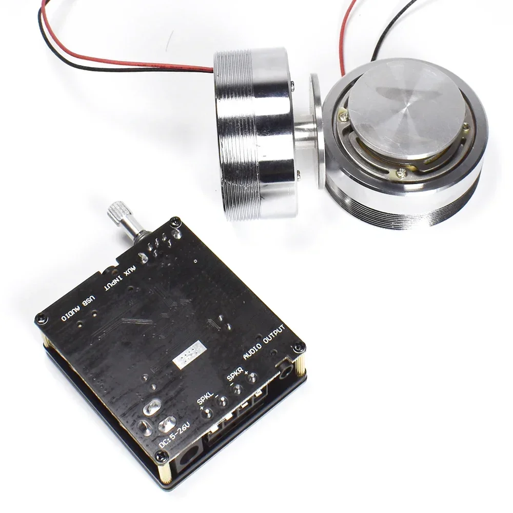 2*25W Portable Stereo Vibratio - огляд і ціна Home Cinema Amplifier